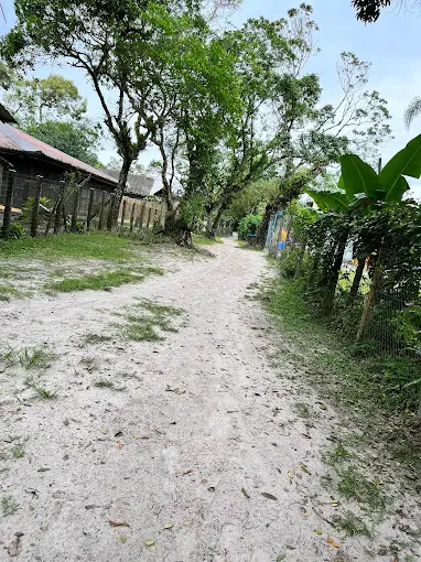 área externa casinha da teca