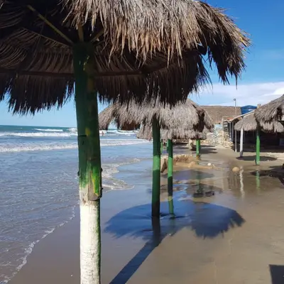 Guarda-sóis da Praia da Ponta do Bicho