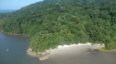 Praia do Bananal, Ilha do Mel, PR