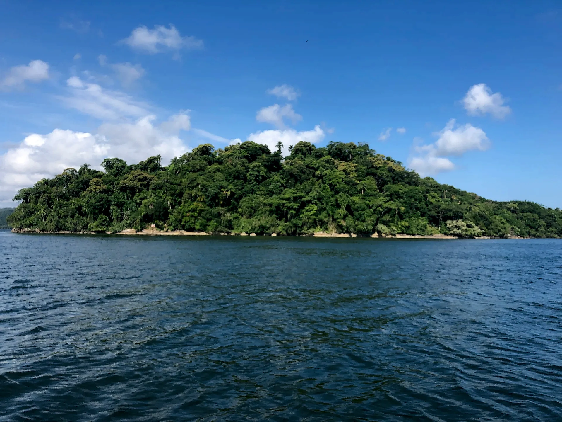 Morro coberto por mata atlântica junto ao mar, com faixa rochosa na margem e água levemente ondulada em primeiro plano. O dia tem luz clara, céu azul e nuvens esparsas.