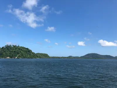 Vista do mar com mata atlântica e morros verdes ao fundo, sob céu azul com nuvens esparsas e aves em voo. A luz clara do dia realça os tons profundos da água e da vegetação.