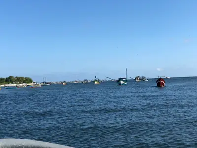 Barcos de pesca coloridos estão ancorados em águas calmas, próximos a uma faixa de mata na margem. O céu amplo e azul, sob luz clara do dia, reforça a atmosfera tranquila do litoral.