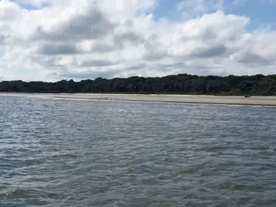 Praia de areia clara margeada por mata densa, vista a partir da água, com aves reunidas na faixa de areia. O céu parcialmente nublado cria luz suave e contrastes discretos sobre o mar.