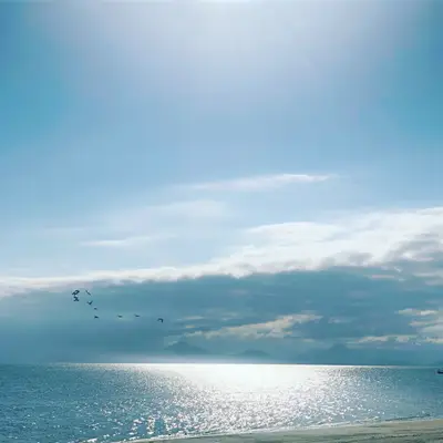 Praia de mar calmo sob céu amplo e parcialmente nublado, com aves sobrevoando ao longe e montanhas suaves no horizonte. A luz clara do dia se reflete intensamente na água, criando um brilho prateado sobre o mar.