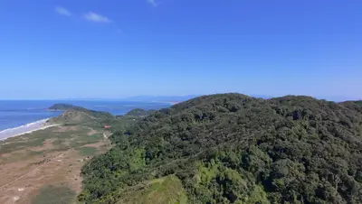 Vista aérea de uma praia extensa, com faixa de areia clara, mar azul e vegetação rasteira que avança até a mata. Uma trilha corta o terreno em direção à costa, sob luz solar intensa e céu limpo.