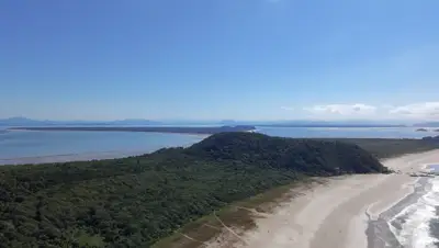 Vista aérea de uma praia extensa, com faixa de areia clara, mar azul e vegetação rasteira que avança até a mata. Uma trilha corta o terreno em direção à costa, sob luz solar intensa e céu limpo.