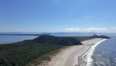 Vista aérea de uma praia extensa, com faixa de areia clara, mar azul e vegetação rasteira que avança até a mata. Uma trilha corta o terreno em direção à costa, sob luz solar intensa e céu limpo.