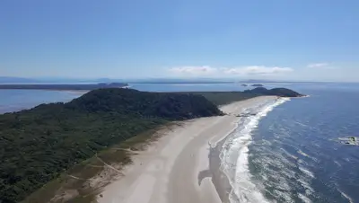 Vista aérea de uma praia extensa, com faixa de areia clara, mar azul e vegetação rasteira que avança até a mata. Uma trilha corta o terreno em direção à costa, sob luz solar intensa e céu limpo.