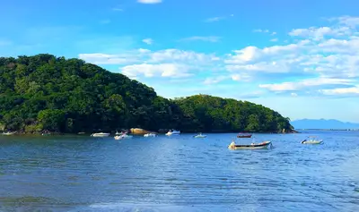 Barcos de pequeno porte flutuam em águas calmas diante de uma área de mata densa à beira-mar. O céu azul com nuvens esparsas e a luz clara do dia destacam os tons verdes da vegetação e o azul da baía.