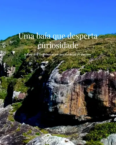 Costão rochoso coberto por vegetação nativa, sob céu azul intenso. A luz diurna realça as texturas das pedras e os tons verdes da mata.