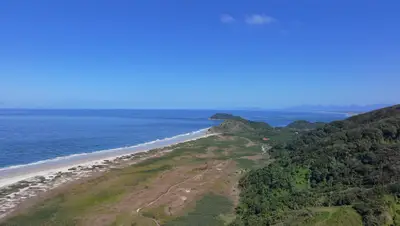 Vista aérea de uma praia extensa, com faixa de areia clara, mar azul e vegetação rasteira que avança até a mata. Uma trilha corta o terreno em direção à costa, sob luz solar intensa e céu limpo.